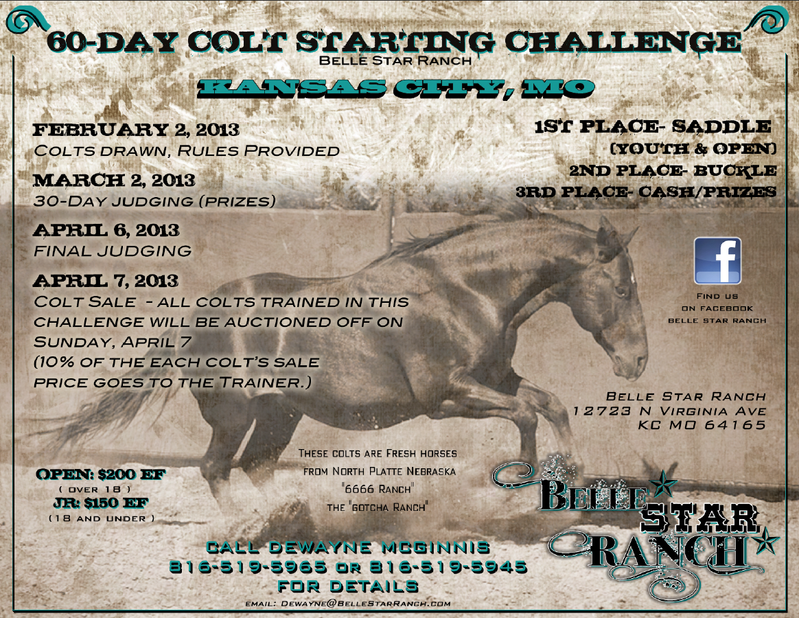 Colt Breaking Challenge